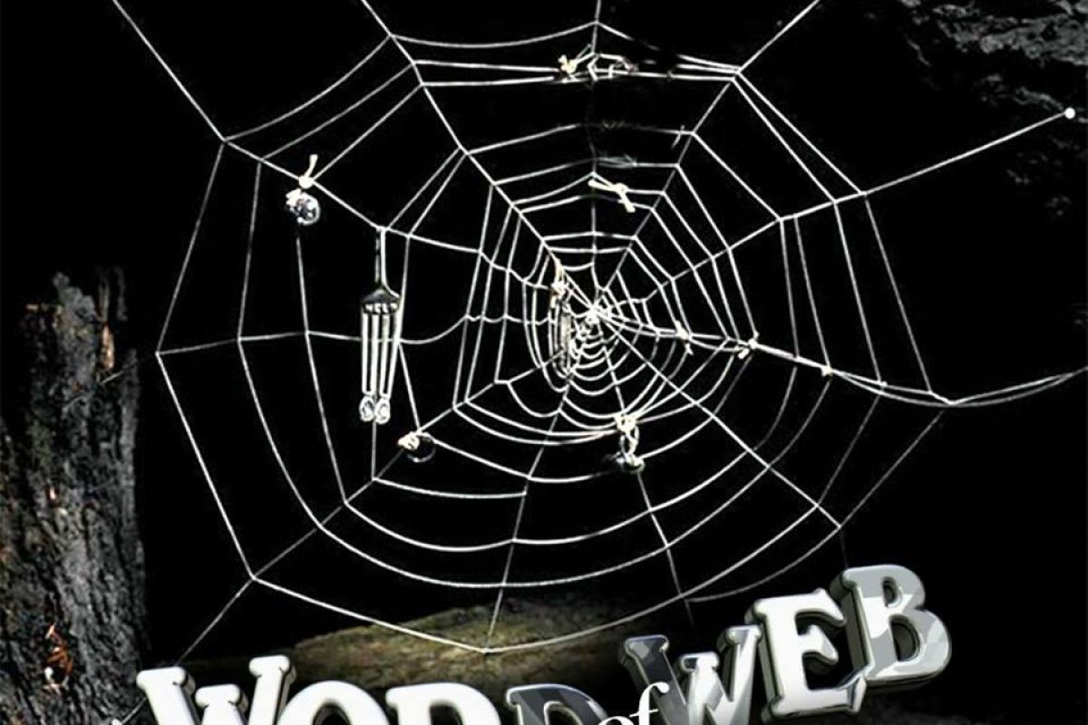 18424198_1433164426734925_971275541564182533_n